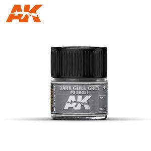 AK Interactive RC247 FS36231 Dark Gull Grey